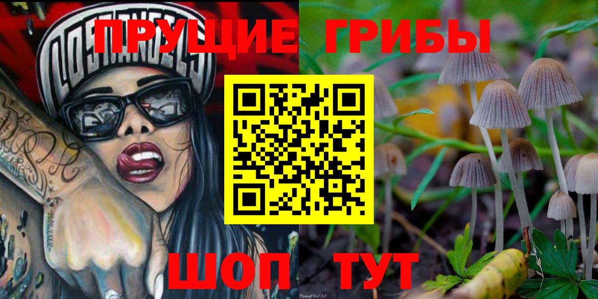 Псилоцибиновые грибы GOLDEN TEACHER  Вход с VPN  Гусь-Хрустальный 