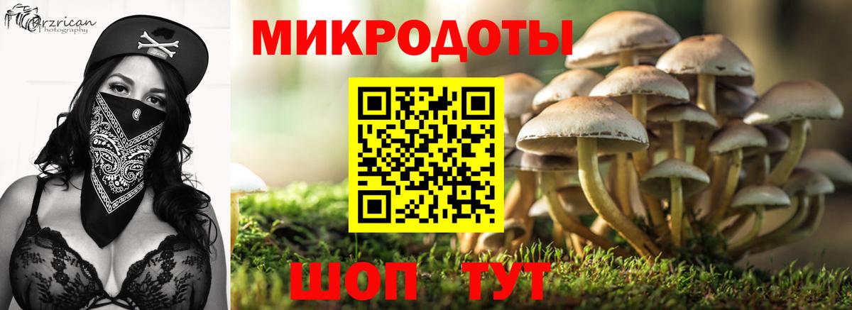 Псилоцибиновые грибы мухоморы Гусь-Хрустальный